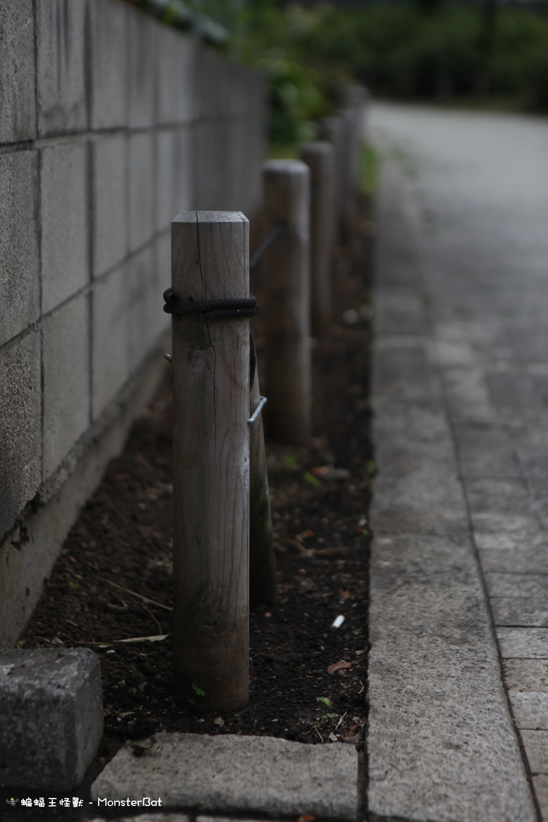 19 – 神田川沿いの桜附近
