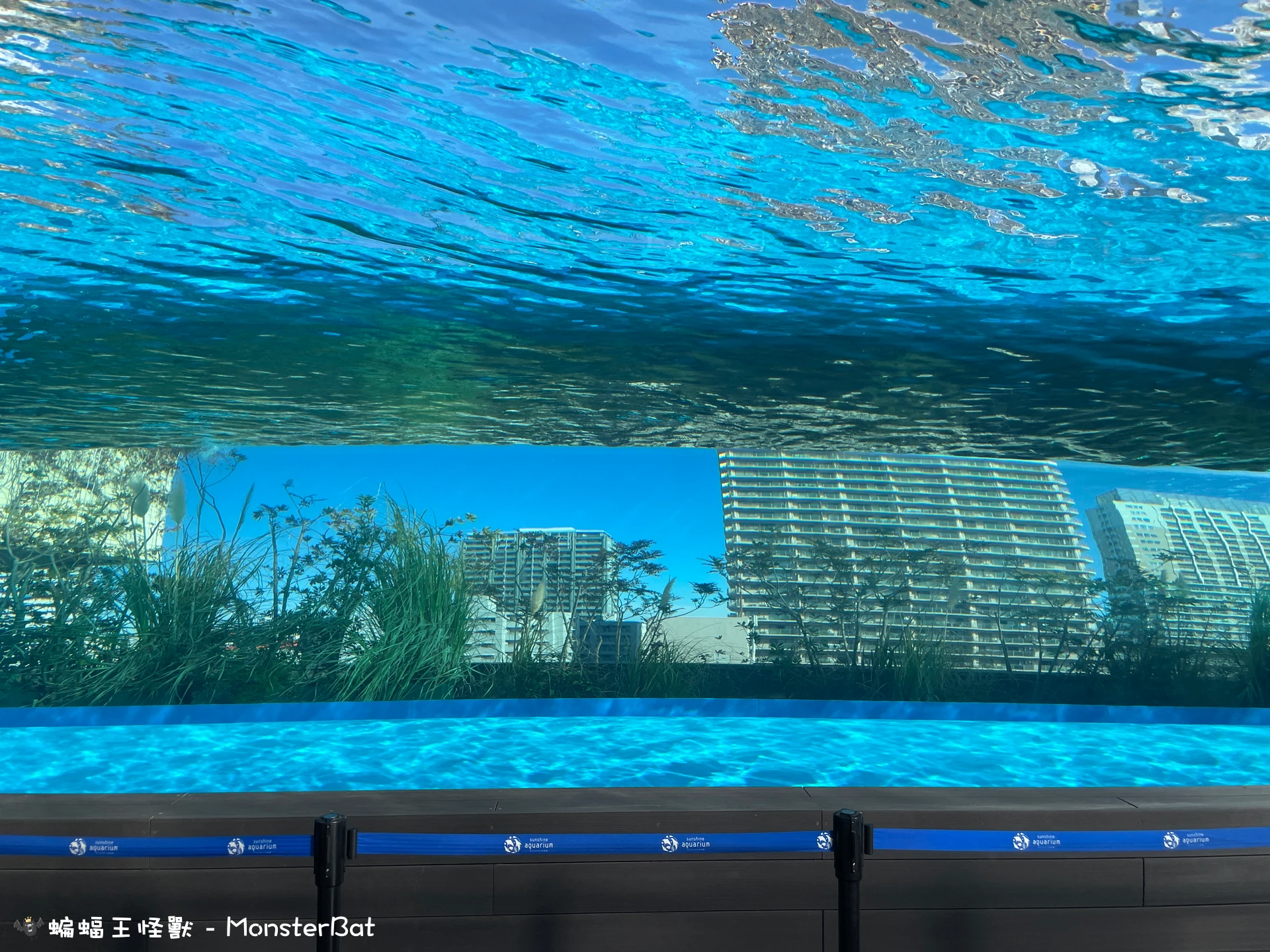 11 – サンシャイン水族館